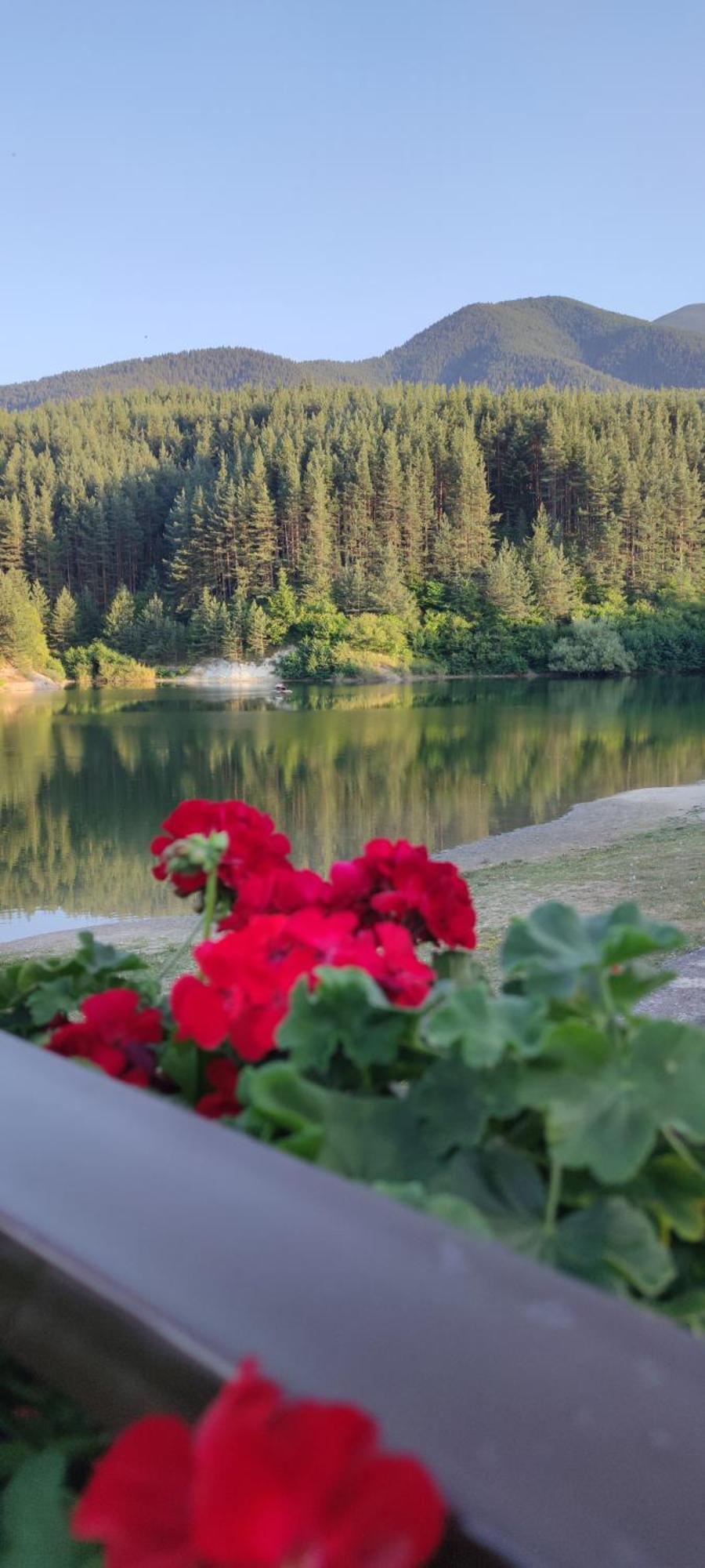 Apartment St Ivan Rilski Luxury 4 Stars Free & Mineral Water